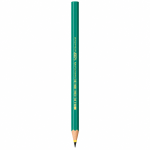 LAPIS PRETO BIC EVOLUTION 2 840641